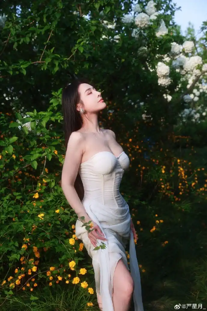 地图免费下载示意图